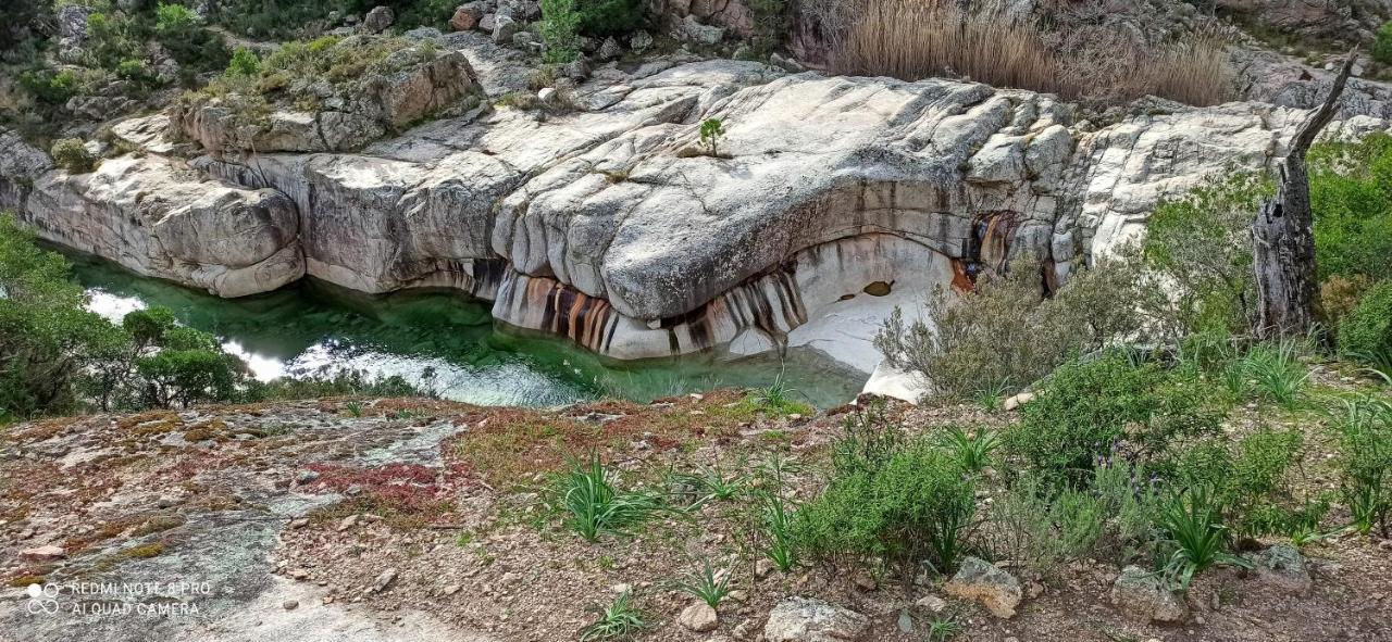 Appartamento Arca C14 Porto Vecchio Esterno foto